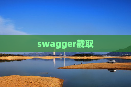 swagger截取